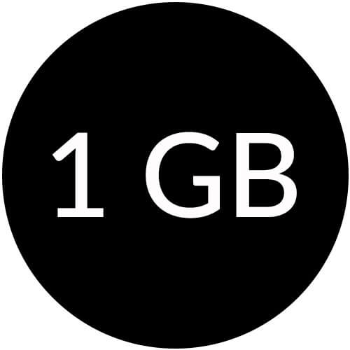 1GB Flash Drives