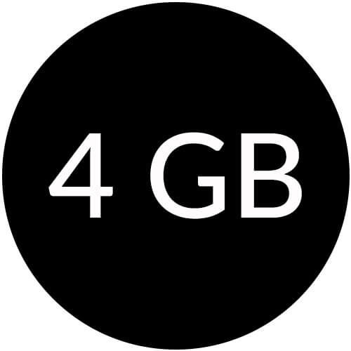 4GB Flash Drives