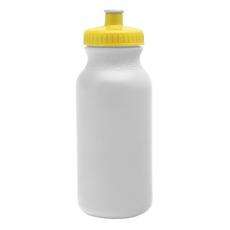 20 oz. BPA Free Water Bottles
